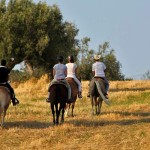 Passeggiate