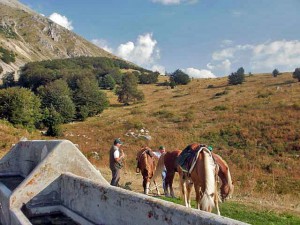Trekking