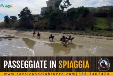 Tornano le passeggiate a cavallo in spiaggia, prenota la tua avventura!