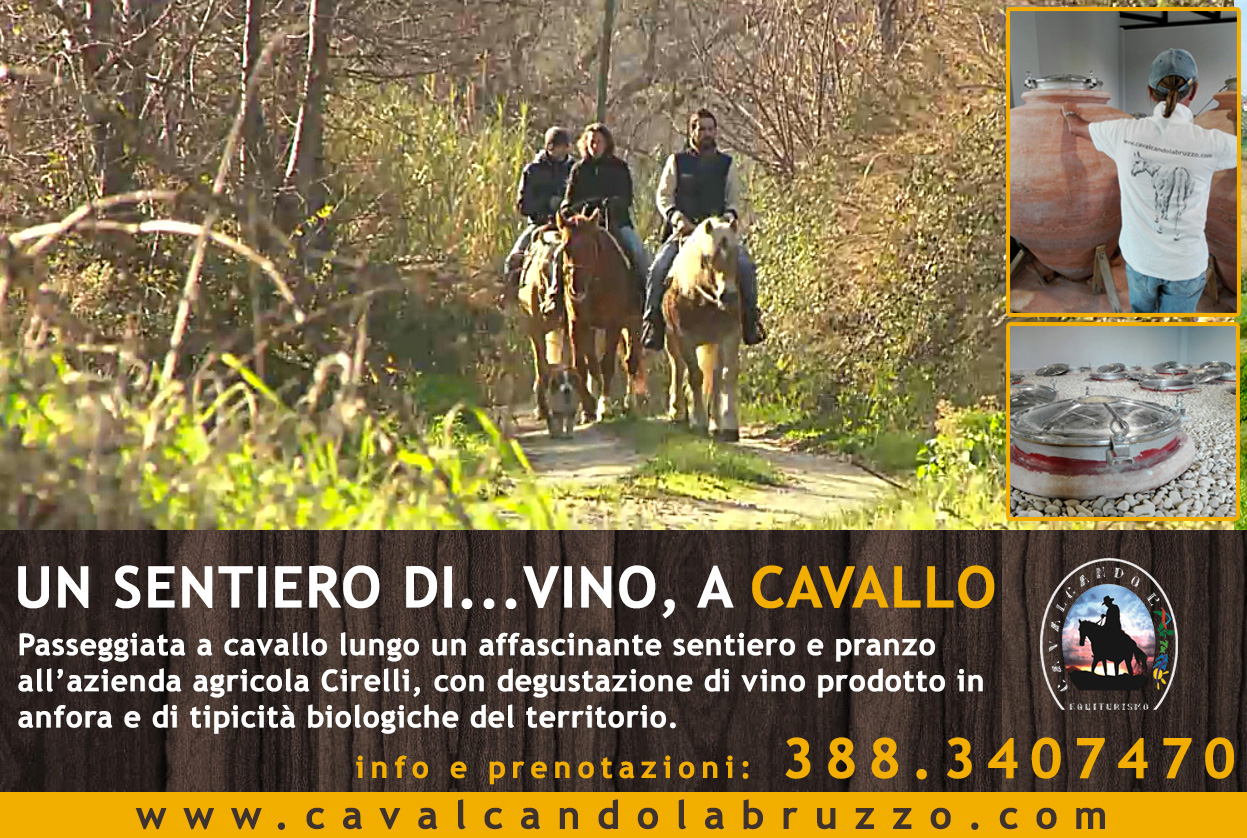 sentiero-di...vino2