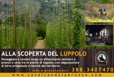 “Alla scoperta del luppolo”, passeggiata a cavallo con degustazione di birra e tipicità