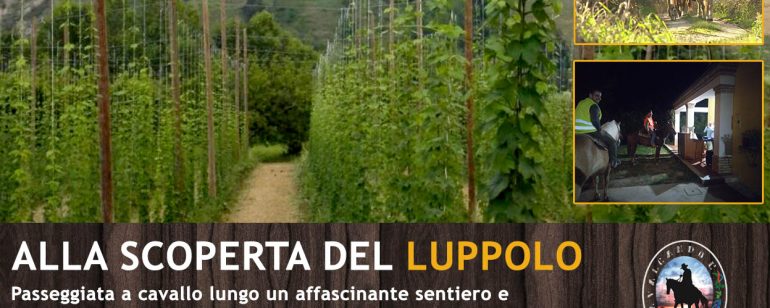 “Alla scoperta del luppolo”, passeggiata a cavallo con degustazione di birra e tipicità